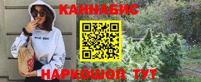 индика Кинель