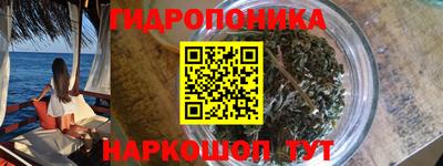 индика Кинель