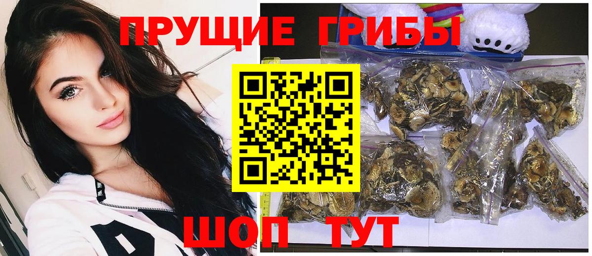 Галлюциногенные грибы Psilocybe  Вход с VPN  Кореновск 